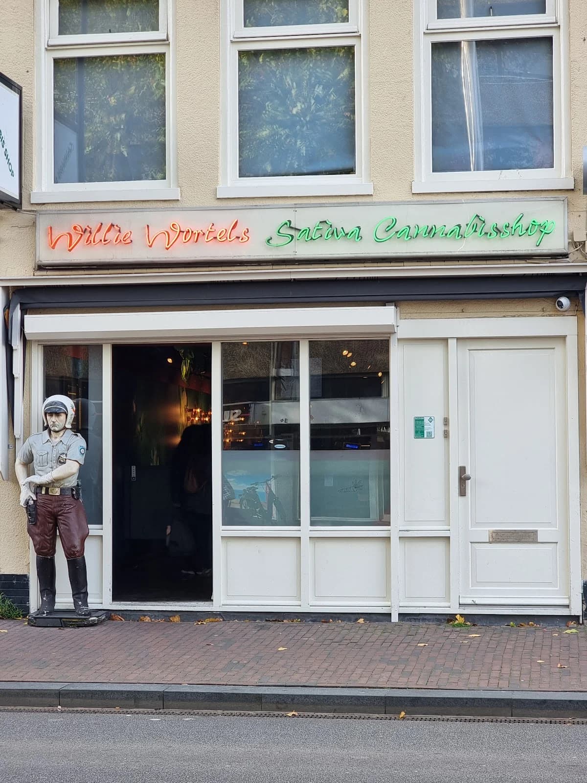 Willie Wortel Sativa